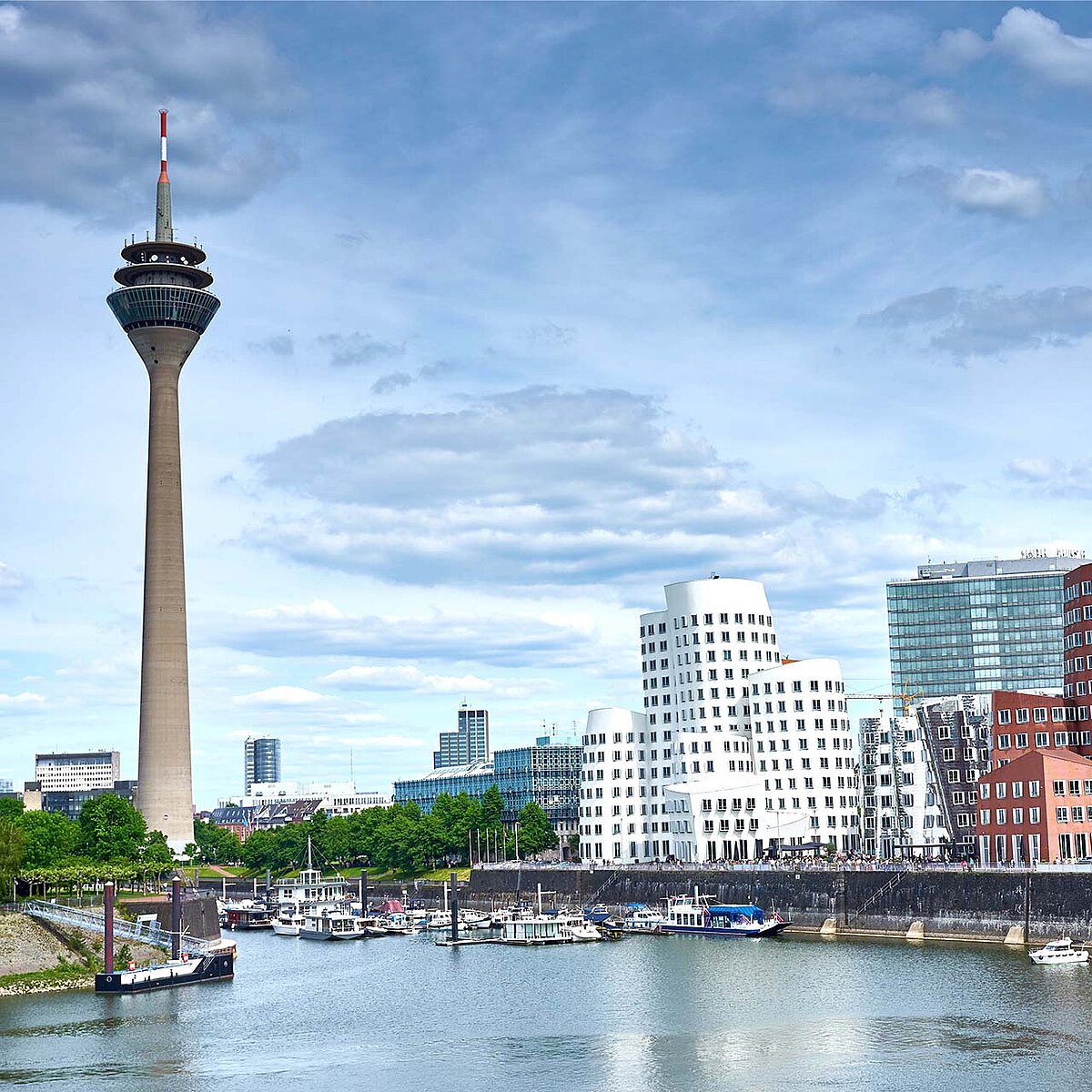 View of the Skyline and river Rhine 